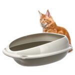 GarPet Katzenklo ohne Deckel 57x40x19 cm Katzentoilette mit Rand Katzen WC Schalentoilette grau oval hygenisch  